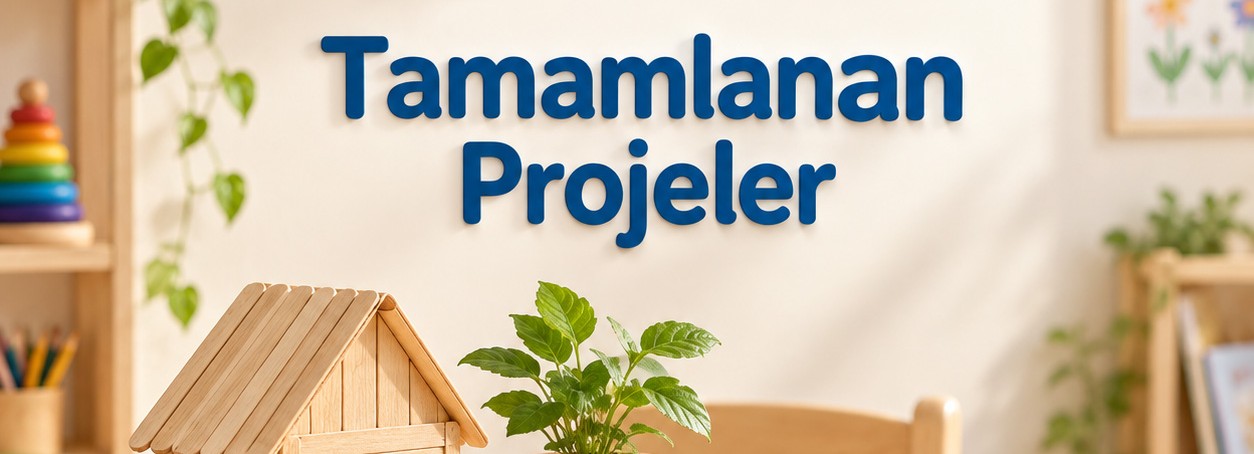 Tamamlanan Projeler — temsili görsel